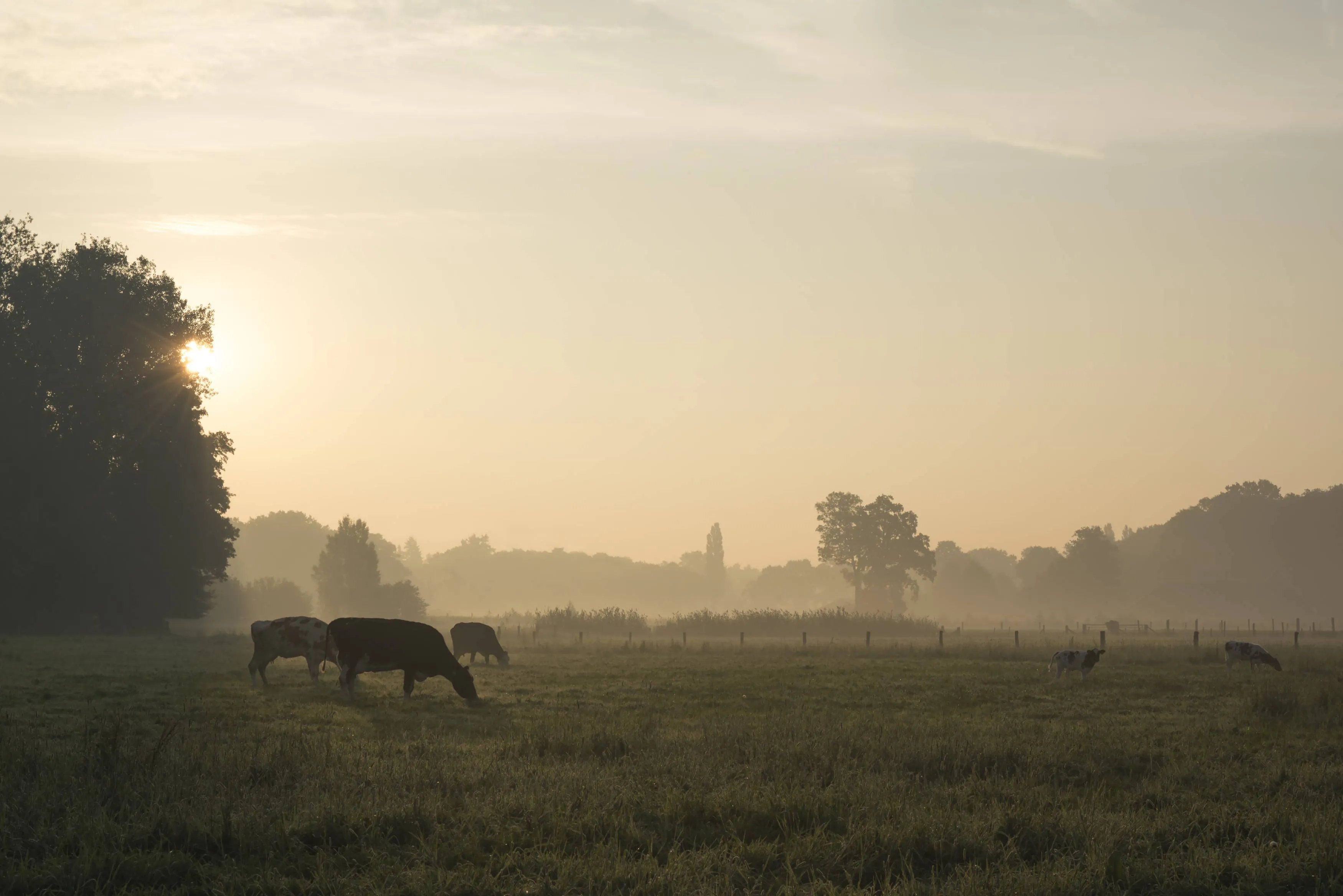 Duurzame relaties